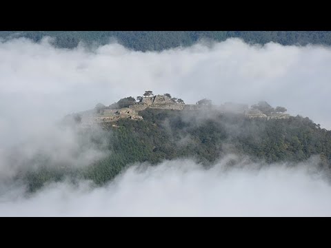 幻想的、雲海に浮かぶ「天空の城」　朝来の竹田城跡にシーズン到来