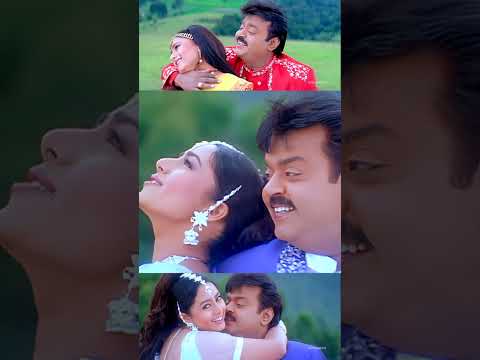 Desinghu Raja Thaan - 4K Video Song | தேசிங்கு ராஜாதான் | Thavasi | Vijayakanth | Vidyasagar