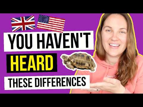 5 surprising UK vs USA differences // the great turtle debate