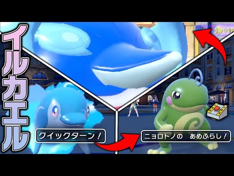 新戦術「イルカエループ」　【ポケモンSV】