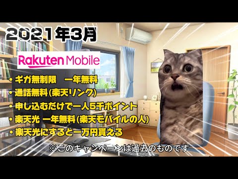 楽天モバイルにして30万円節約した話【猫ミーム】cat meme【猫マニ】※2021年3月のキャンペーンの話です