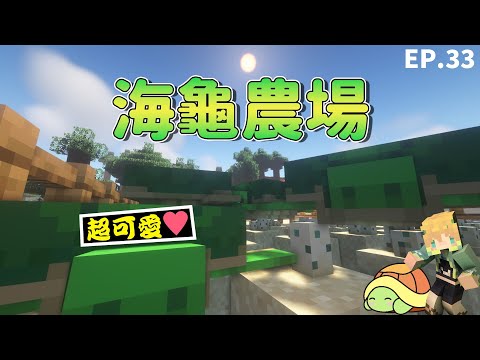 【Minecraft】1.19超簡單🐢海龜農場 ! 超多海龜小知識一次告訴你🧡 ! 【Timmy小樹】|全字幕| #生電建村計畫EP.!