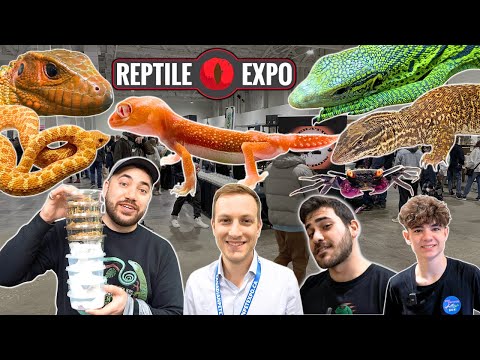 I BOUGHT 6 LIZARDS AND 4 MYSTERY PETS AT THE TORONTO REPTILE EXPO! March 2024