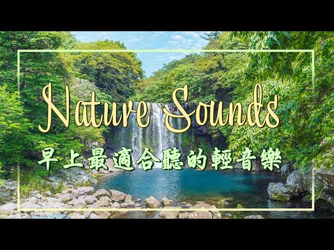 【PIANO MUSIC】早上最適合聽的輕音樂 放鬆解壓 - The Healing Power Of Nature Sounds