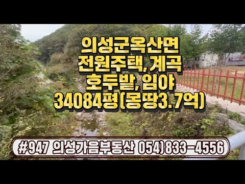 #947 의성가음부동산 2차선접한 호두밭 6000평 복층2층 전원주택 창고 합34,084평 몽땅3.7억 채소밭 임야 상태좋은집 모든것 갖춰진 큰농장 하실분! 귀농귀촌적합 #의성땅