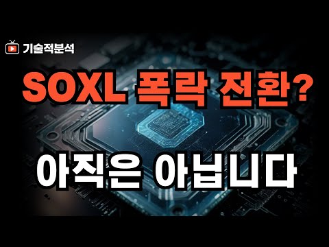 SOXL 폭락? 아직은 이릅니다 시장 조정 의미는? ｜테슬라가 긍정적인 이유