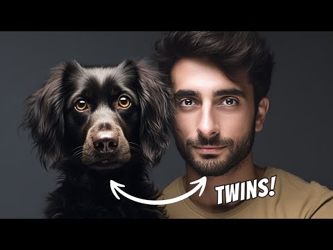 Why Do Dogs Look Like Their Owners?