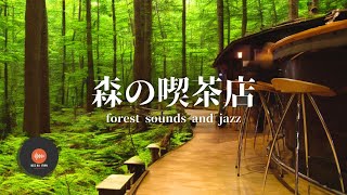 環境音＋JAZZ やさしい森の喫茶店 自然環境音 リラックスカフェ CAFE MUSIC 癒しの空間 鳥のさえずり 川のせせらぎ 作業 勉強 - 作業用BGM