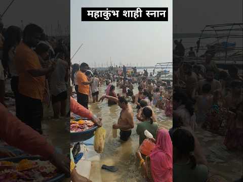 Mahakumbh Mela 2025 #amritsnan#shahisnan2025#basantpanchami#kumbhmelaprayagraj#mahakumbhmela#shorts