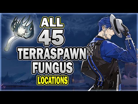 All 45 Terraspawn Fungus Locations in Wuthering Waves - Efficient Farming Route