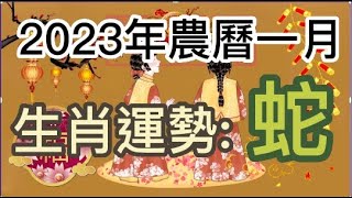 【古柏論命每月運勢】2023年農曆正月(陽曆1/22 ~ 2/19)生肖運勢分享 -  蛇