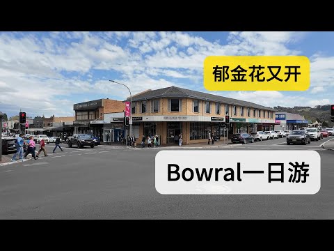 悉尼周边小镇一日游 Bowral & Berrima