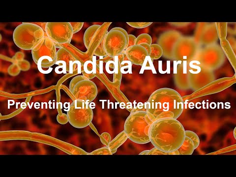 Preventing the Spread of Candida Auris - A Fungus that Can Cause Deadly Infections in Hospitals