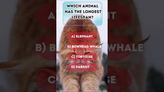 EXTREME Animal Trivia You Won't Believe#generalknowledge  #facts  #quiz #animals