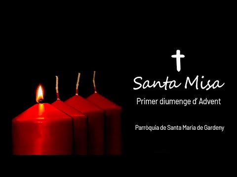 🔴 SANTA MISSA EN DIRECTE | DIUMENGE I D' ADVENT