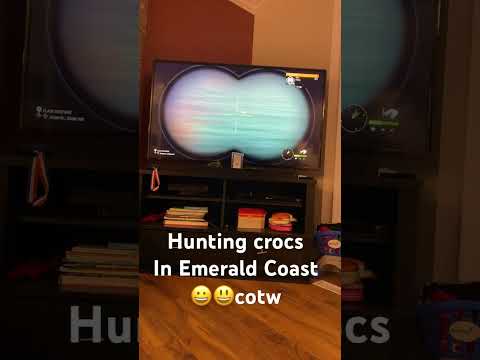 Hunting salties on Emerald Coast in cotw #cotw #salties #hunting