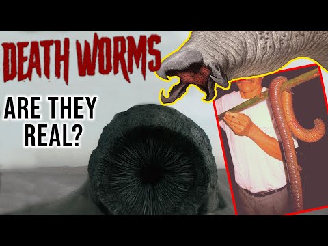 Mongolian Death Worm: Everything We Know So Far...