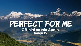 Perfect for me || Nahpets || (Official Lyrics video)