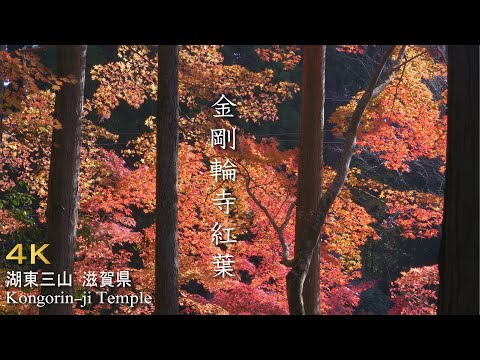 金剛輪寺の紅葉