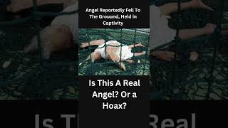 Angel Fell to Ground is this Real? or Hoax? #angels #angelsmessages #jesusmessage