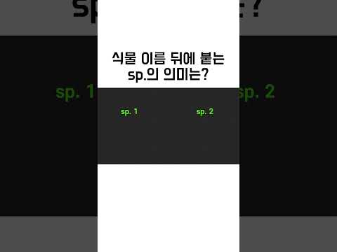 식물 이름 뒤에 sp가 붙어 있으면 어떤 의미일까? #식물정보