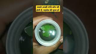 सबसे अच्छी राशि कौन सी होती हैं, महादेव की कृपा हो #viral #horoscope #astrology #rashi #mahadev #yt