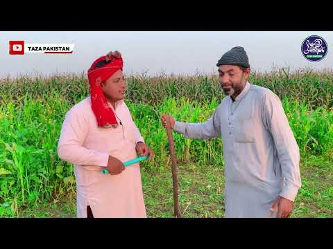 Ranjha 2025: Ishq ka Naya Junoon - Pakistani drama 2025 - Covered by Taza Pakistan