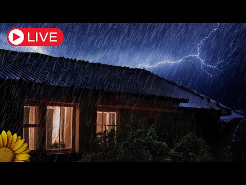 🔴 SOM da CHUVA Caindo PESADA no FORRO de uma CASA Antiga com TROVÕES. Para DORMIR RÁPIDO🌧️