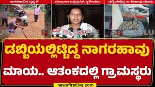 Belagavi Incident : Balekundri ಗ್ರಾಮಸ್ಥರಿಗೆ ಭಯ ಹುಟ್ಟಿಸಿದ ನಾಗರಹಾವು ! | @newsfirstkannada