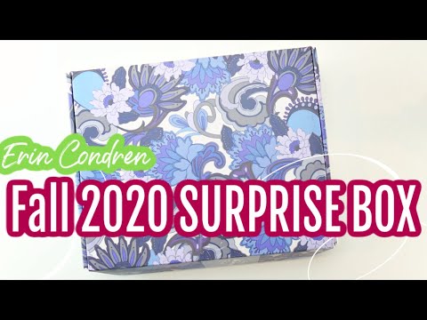 Unboxing the Erin Condren Fall 2020 Surprise Box - Spoiler Alert!