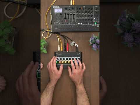 Transforming Audio with the Alter Audio Timetosser + Roland SH-4d | (Quick Sound Demo, No Talking)