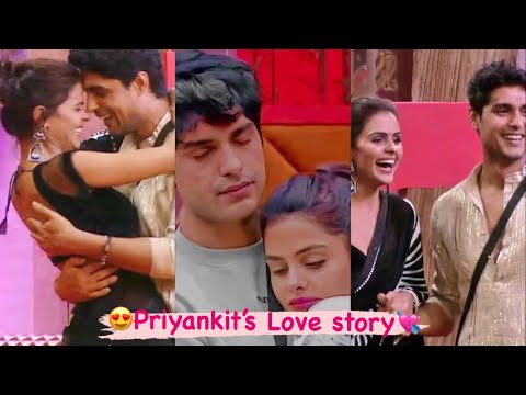 😍Tum mile dil khile X lofi😍| Priyankit love story | Ankit gupta & Priyanka Choudhary | Biggboss16