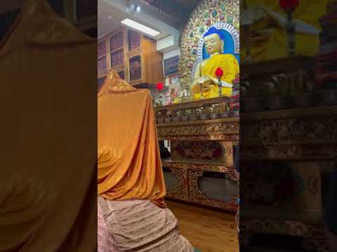 What’s Inside Dalai Lama’s Temple? 😱 #shorts #youtubeshorts #dharamshala #ashortaday #minivlog