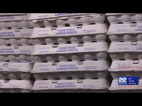 Egg supply dwindles due to Bird Flu outbreaks