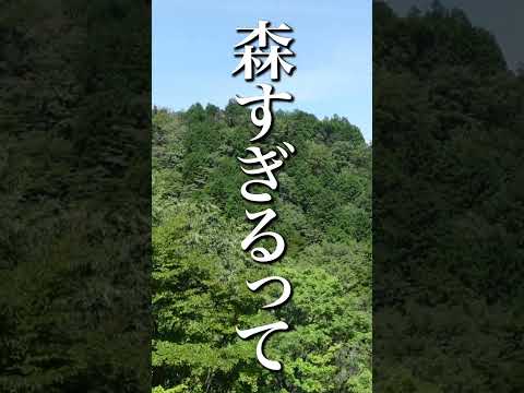 【箱根】拗らせ女はとりあえず1人でここ行け！！ #日常 #vlog #ol #ひとり旅