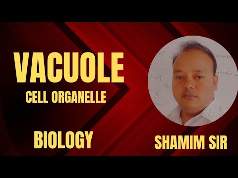 Secrets of Vacuole in Plant Cell Revealed