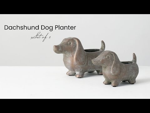 Dachshund Dog Planter Set