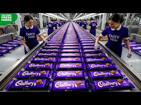 How Cadbury Is Made in a Mega Factory With Modern Food Processing Technology | Chocolate Factory