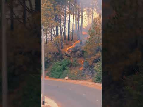 Khofnaaq Manzar| Islmabad k Jungle Main Aagh| Marghalla Hills Caught Fire