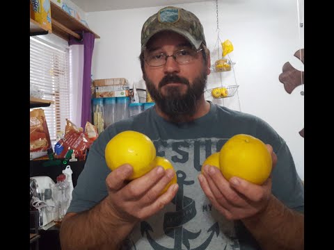 You've harvested your lemons. Now what?