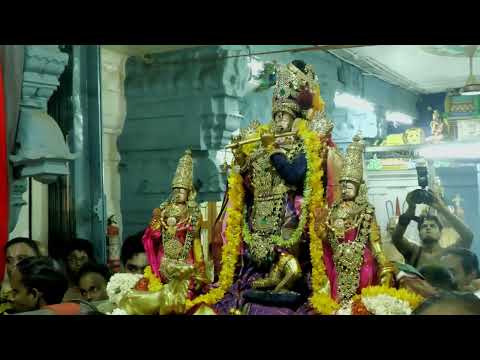 Kanchi Varadarajan - Venugana Loluni - Kedaragowla - Nedunuri Krishnamurthy_6m 46s   (4K) (2023)