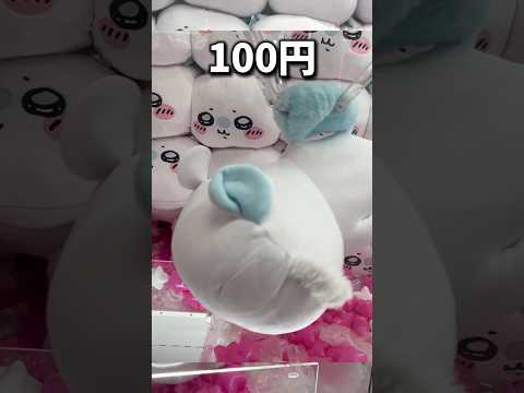 どのぬいぐるみが一番欲しい？#クレーンゲーム #ufoキャッチャー #ぬいぐるみ#clawmachine #cute