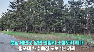 충남 태안군 남면 원청리 토지 매매/청포대 해수욕장 옆/서해 바다 1분 거리/소형 토지 약 158평/단독주택 토지/분할매매 가능/부동산 매물