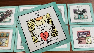 Quick Energy Update 🩵🩵 Their Feelings & Thoughts 🩵🩵 Timeless Tarot 🩵🩵 Hindi-Urdu 🩵🩵