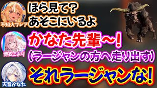 『ラージャン』と『かなた』の区別がつかずブチギレられるこよりwww【不知火フレア,天音かなた,博衣こより/ホロライブ/切り抜き】