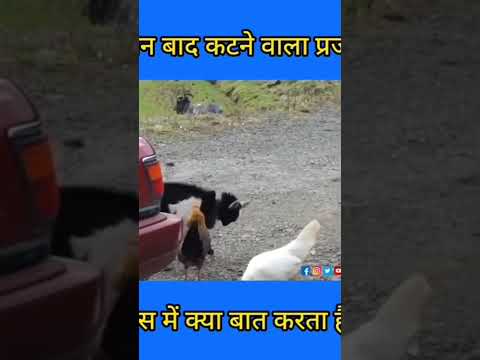 sawan ke baad katne wala prajati.                        subscribe for more videos.