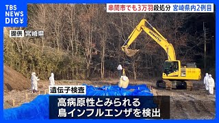 宮崎・串間市で鳥インフルエンザが発生　3万羽の殺処分、県内2例目｜TBS NEWS DIG