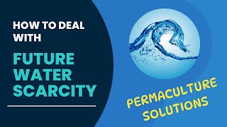 Addressing the Upcoming Water Crisis with Permaculture Solutions