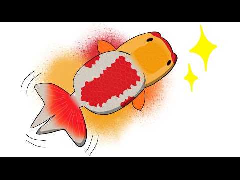 My mother's favorite fish ( ranchu goldfish )