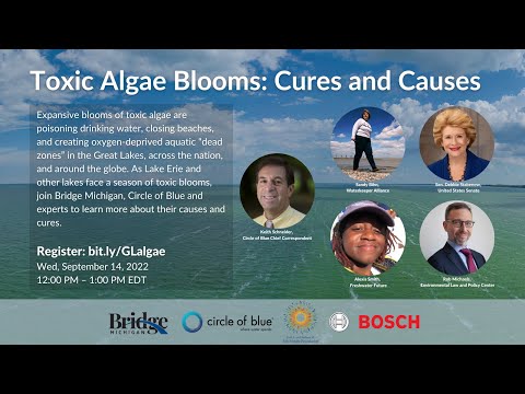 Harmful Algae Blooms with Bridge Michigan and Circle of Blue